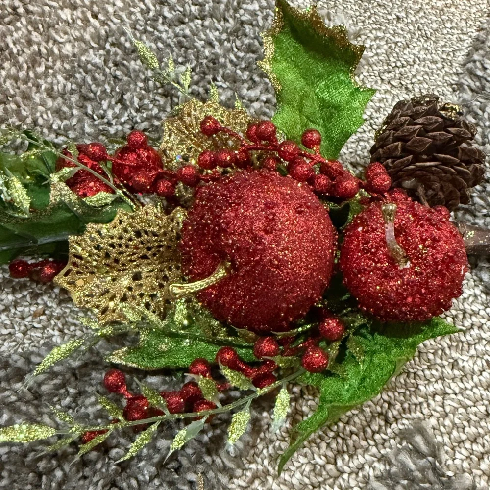 Pier 1 Rustic Twig Star & Snowflake Ornaments Michaels Fruit Pick Set of 5